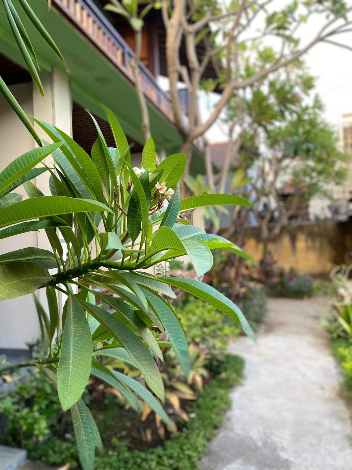 Putra'Lebah Amed Guest House Exterior foto